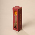 Reed Diffuser Discovery Pack – 30 ML | Oudh  Fragrance | Eco-Friendly with Natural Rattan Sticks