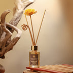 Reed Diffuser Discovery Pack – 30 ML | Oudh  Fragrance | Eco-Friendly with Natural Rattan Sticks