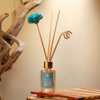 Reed Diffuser Discovery Pack – 30 ML | Ocean Breeze Fragrance | Eco-Friendly with Natural Rattan Sticks