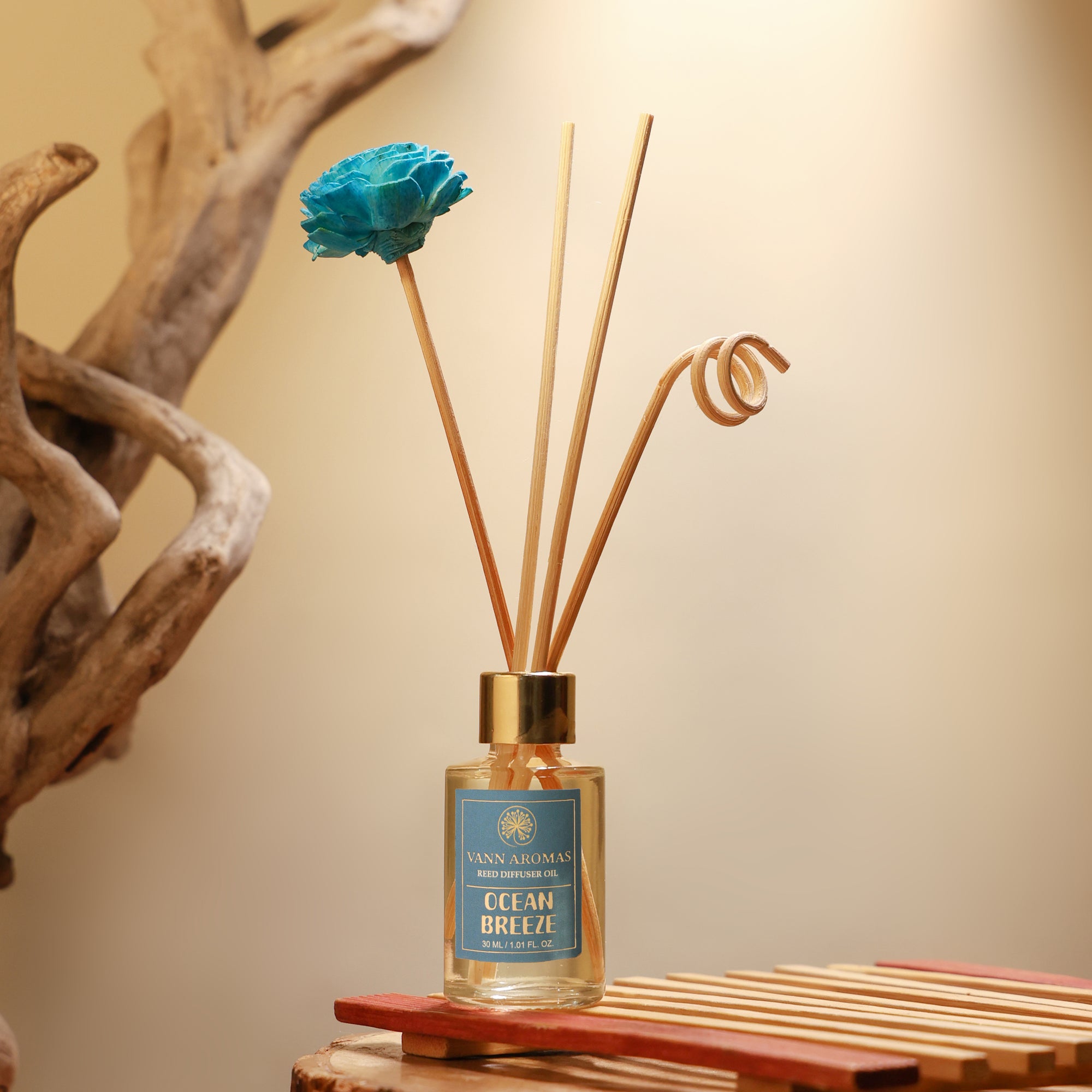 Reed Diffuser Discovery Pack – 30 ML | Ocean Breeze Fragrance | Eco-Friendly with Natural Rattan Sticks