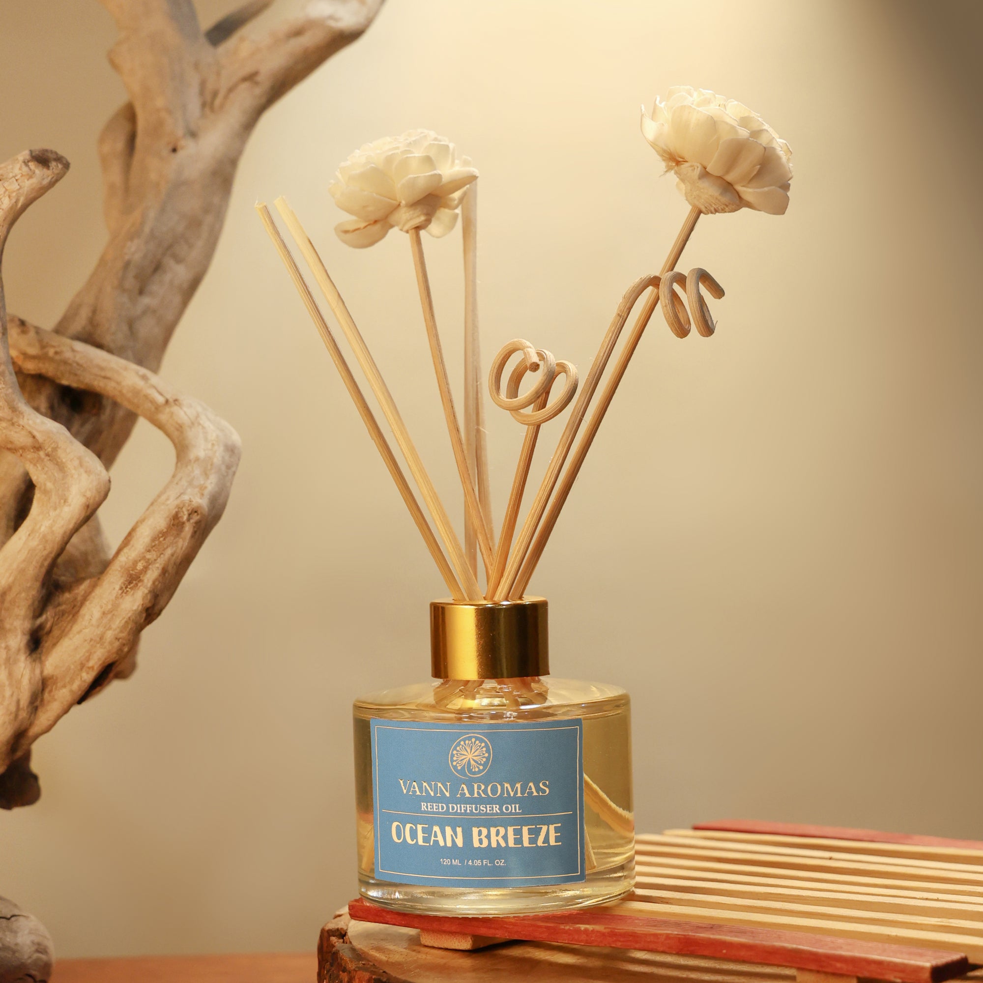 Reed Diffuser  (Pack - 120 ML) | Ocean Breeze Fragrance | Eco-Friendly with Natural Rattan Sticks