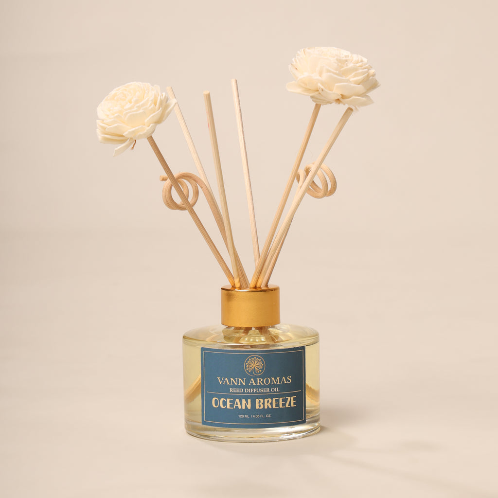 Reed Diffuser  (Pack - 120 ML) | Ocean Breeze Fragrance | Eco-Friendly with Natural Rattan Sticks