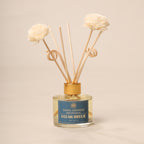 Reed Diffuser  (Pack - 120 ML) | Ocean Breeze Fragrance | Eco-Friendly with Natural Rattan Sticks