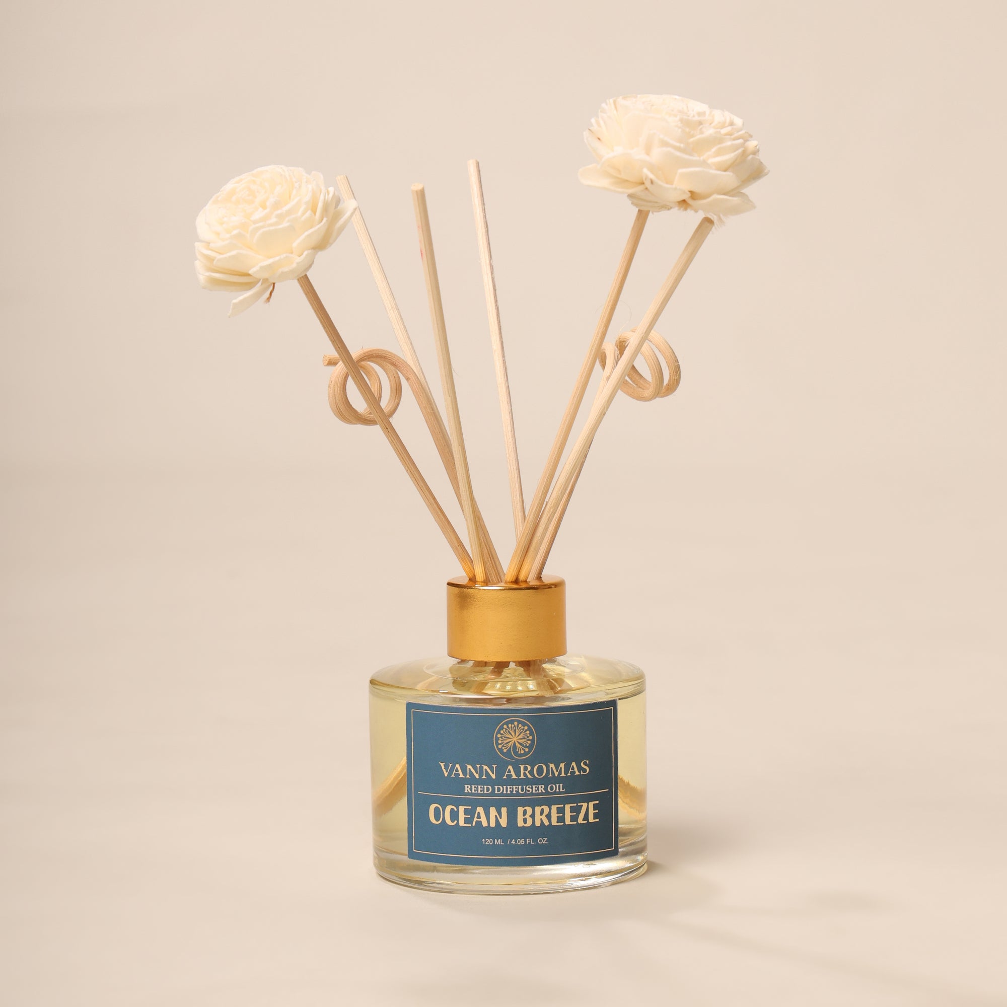 Reed Diffuser  (Pack - 120 ML) | Ocean Breeze Fragrance | Eco-Friendly with Natural Rattan Sticks