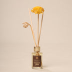 Reed Diffuser Discovery Pack – 30 ML | Oudh  Fragrance | Eco-Friendly with Natural Rattan Sticks