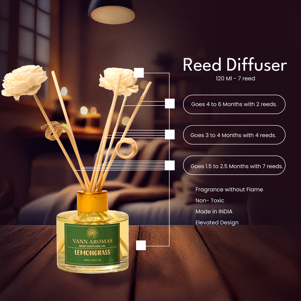 Reed Diffuser  (Pack - 120 ML) | Ocean Breeze Fragrance | Eco-Friendly with Natural Rattan Sticks