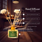 Reed Diffuser  (Pack - 120 ML) | Ocean Breeze Fragrance | Eco-Friendly with Natural Rattan Sticks